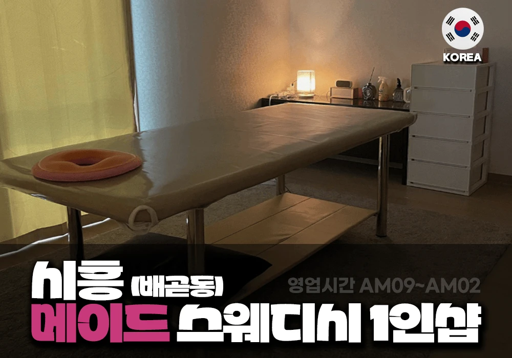 시흥 배곧 ⭐️메이드⭐️